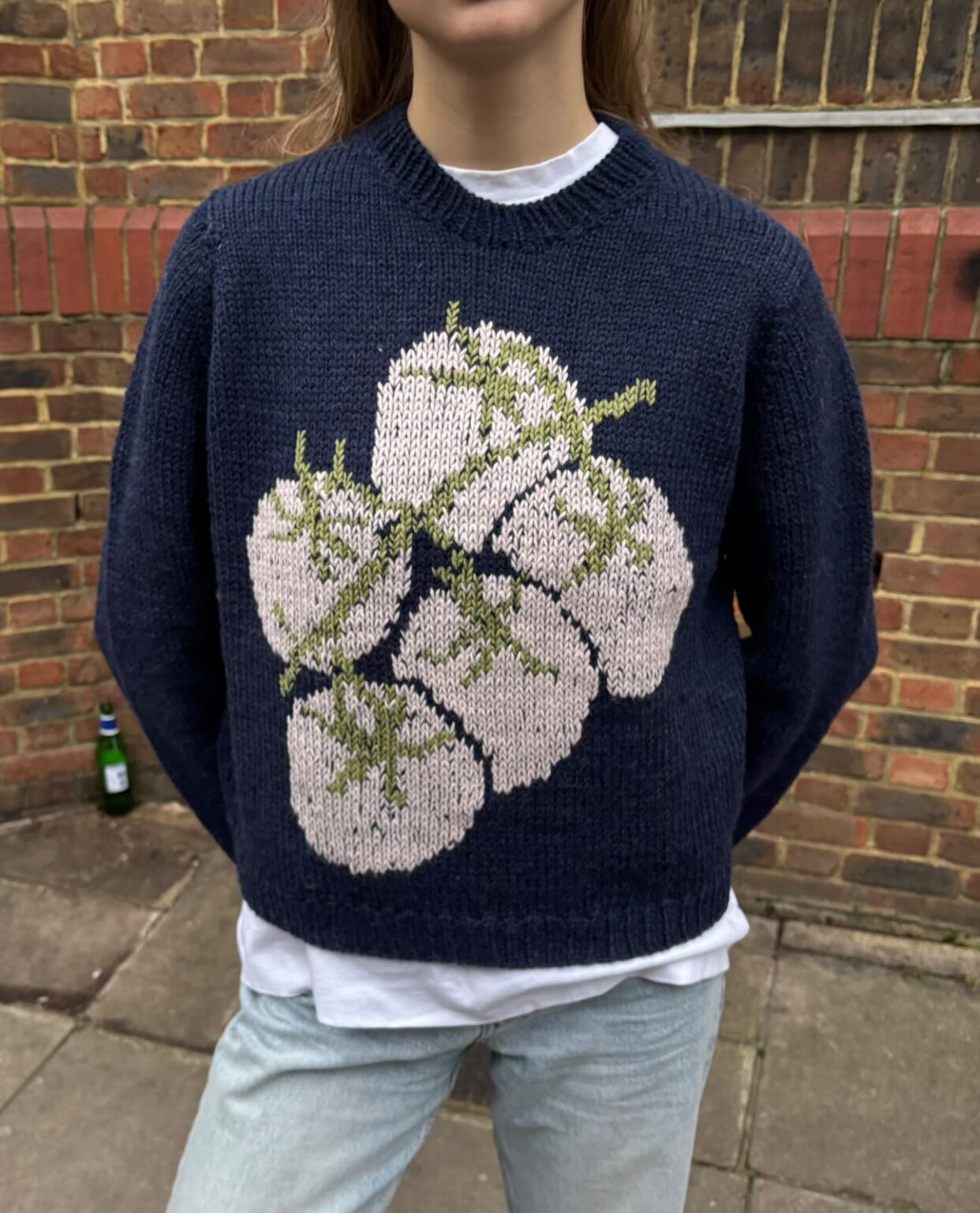 Tomato Design Knit Jumper