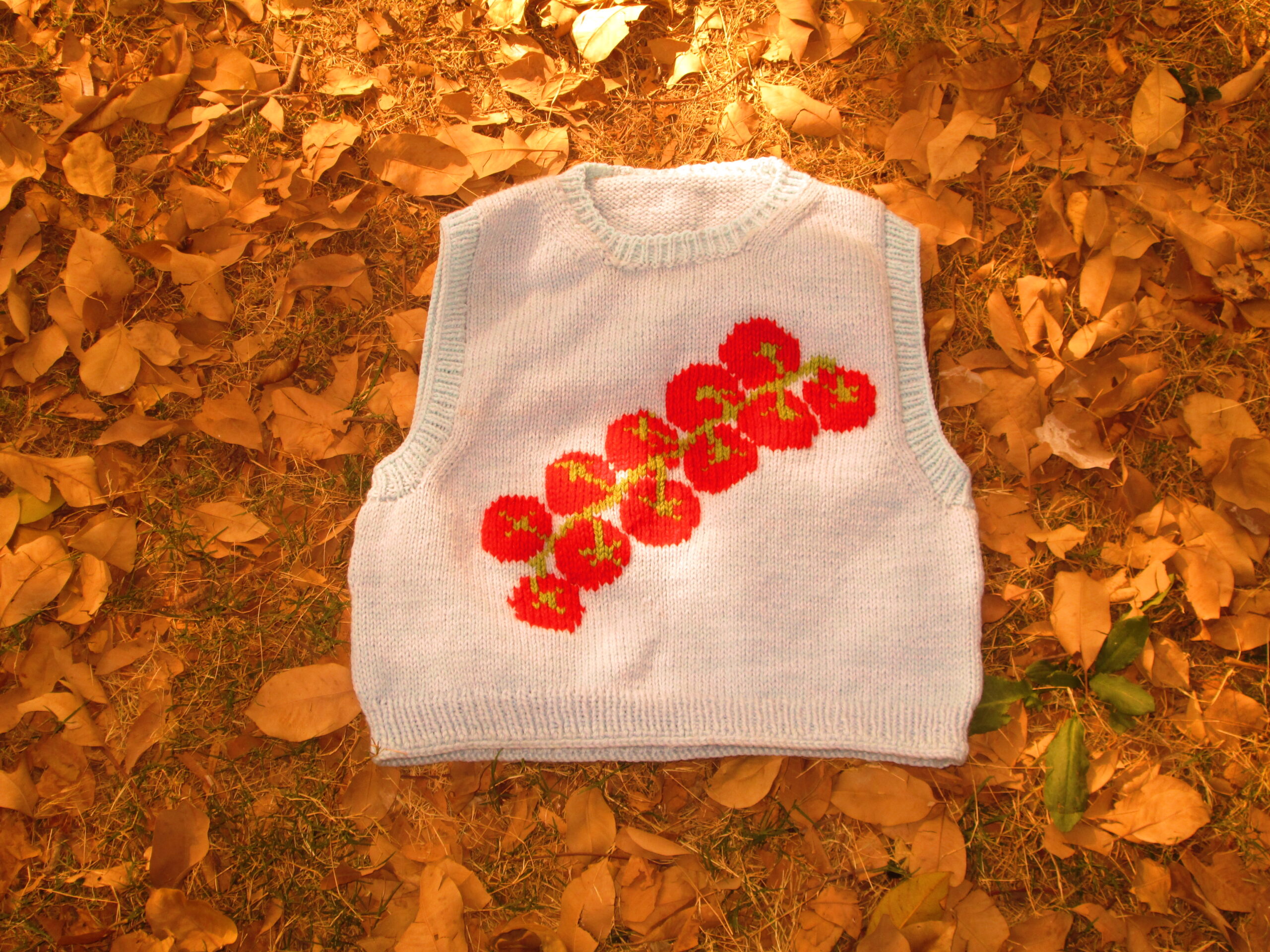 Cherry Tomato Vest + Tomato Sweater BUNDLE - Studio Klara